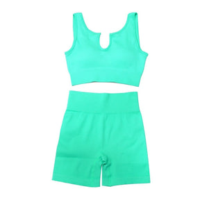 Conjunto Fitness Feminino Harmonia Atlética